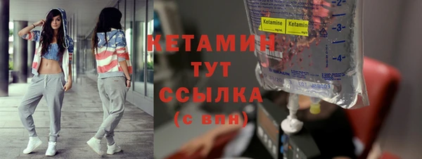 сатива Волоколамск