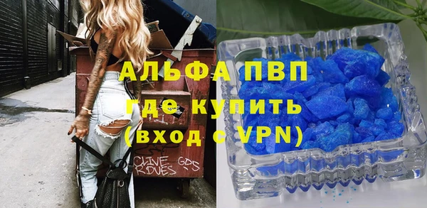 дживик Вязьма
