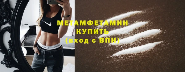 сатива Волоколамск