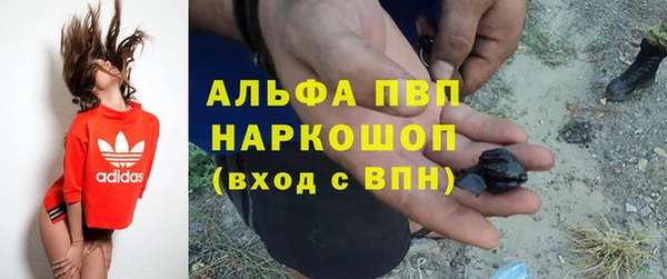 дживик Вязьма