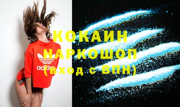 дживик Вязьма