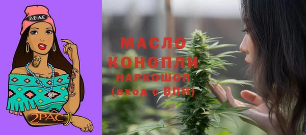 дживик Вязьма