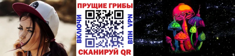Псилоцибиновые грибы мицелий  ОМГ ОМГ как войти  Севастополь 