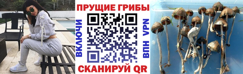 Галлюциногенные грибы ЛСД Севастополь